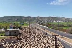 Göçerlerin zorlu yolculuğu dronla görüntülendi