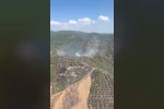 Gömeç’te başlayıp Burhaniye’ye sıçrayan orman yangını kontrol altına alındı