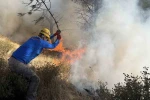 Gömeç’teki yangında 52. saat: Alevlerin ilerlememesi için adeta etten duvar örüldü