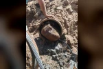 Gönen’in ana su hattından 15 yıl sonra kaya çıktı