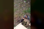 Görele’de araçlara çarpan yaralı karaca derede bulundu