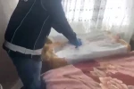 Göz kulak olacakları evi uyuşturucu deposuna çevirdiler