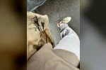 Habere giderken haber oldular
