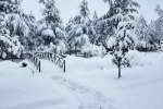 Hacılar Belediyesi ekipleri karla mücadele için sahada