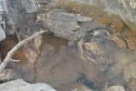 Hakkari’de gizemli kükürt vadisi: İnsanlara şifa, hayvanlara ölüm