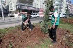 Haliliye’de yaz öncesi parklarda hummalı çalışma