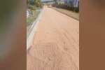 Hamitler Kent Mezarlığı’ndaki ara yollara soğuk asfalt atılıyor