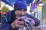 Hamsi revaçta