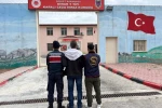 Hapis cezasıyla aranan şahsı jandarma yakaladı