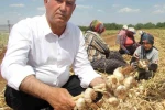 Hasan Altun’dan, 1 Mayıs mesajı