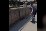 Hastane yanında görülen yılan paniğe neden oldu 