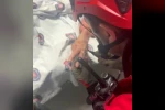 Hastanın parmağına sıkışan yüzüğü itfaiye ekipleri çıkardı