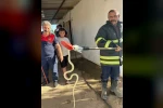 Hatay’da evlere giren 2 yılan yakalandı
