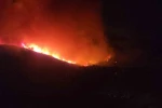 Hatay’da orman yangınının etkili olduğu bölgede evler tahliye ediliyor
