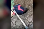 Hatay’da toprağın kaymasıyla göçük altında kalan yavru köpekler kurtarıldı