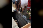 Havalandırma boşluğuna düşen eşek kurtarıldı