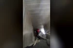 Havalandırma boşluğuna sıkışan kedi kurtarıldı