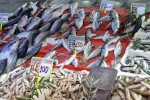 Havalar serinledi, balık tezgahları hareketlendi
