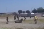 Hayvan pazarından kaçan inek ortalığı karıştırdı 