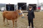 Hayvan pazarının en küçük celepçisi kurbanlık satıyor