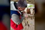 Hayvan pazarlarında denetim Arefe gününde de sürüyor