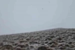 Haziranda yağan kar Süphan Dağı’nı beyaza bürüdü