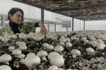 Hem eğitim görüp hem üretiyorlar