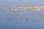 Her damlanın Eber Gölü’ne ulaşması için topyekun mücadele