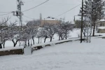 "Her şey devletten beklenmez" diyerek köy yollarını kendi imkanlarıyla temizlediler