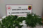 Hilvan’da uyuşturucu ele geçirildi