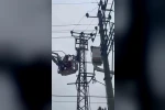 Hırsızlık için çıktığı elektrik direği sonu oldu