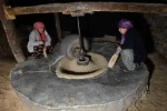 Hizan’da asırlık su değirmeniyle doğal pirinç üretimi sürüyor