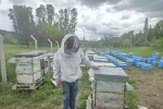 Hobi olarak 5 kovanla başladı, zamanla 250 kovana çıkardı