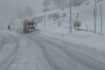 Hopa-Borçka karayolunda kar ve tipi ulaşımı güçleştiriyor