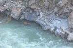 "Huzur buldum" dediği Habur Çayı’nda kaybolan genci arama çalışmaları sürüyor