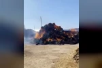 Iğdır’da ot balyaları alevlere teslim oldu 