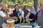 İklime Dirençli Ormancılık Projesi