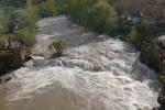 İnci kefalinin göç yolculuğunu görmeye gelenler eli boş ayrıldı