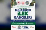 İncirde verim ve kalite için Buharkent’te örnek proje