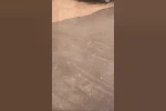 İnegöl, dolu ve sağanak yağışa teslim oldu