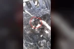 İran’dan düşürülen askeri uçakta ABD askerine ait vücut parçasının tespit edildiği iddiası