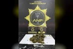 İş yerindeki klimadan uyuşturucu çıktı