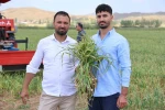 İspanyollar organik sarımsağını Aksaray’da üretecek