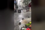 İstanbul dolu yağışı etkili oldu