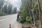 İstanbul için lodos uyarısı: Kuvvetli fırtına etkili olacak
