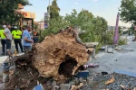 İstanbul’da kısa süreli etkili olan fırtına hasara yol açtı