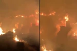 İtfaiye ekipleri alevlere müdahale etti