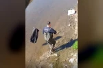 İtfaiye ekipleri dereye düşen horoz için seferber oldu 