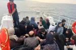 İzmir açıklarında 46’sı çocuk 81 düzensiz göçmen yakalandı