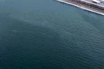 İzmir Körfezi’nde kirlilik alarmı: Aynı tehdit 11. kez görüldü